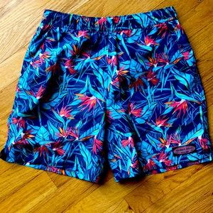 Vineyard Vines Boy’s Chappy Swim Trunks
